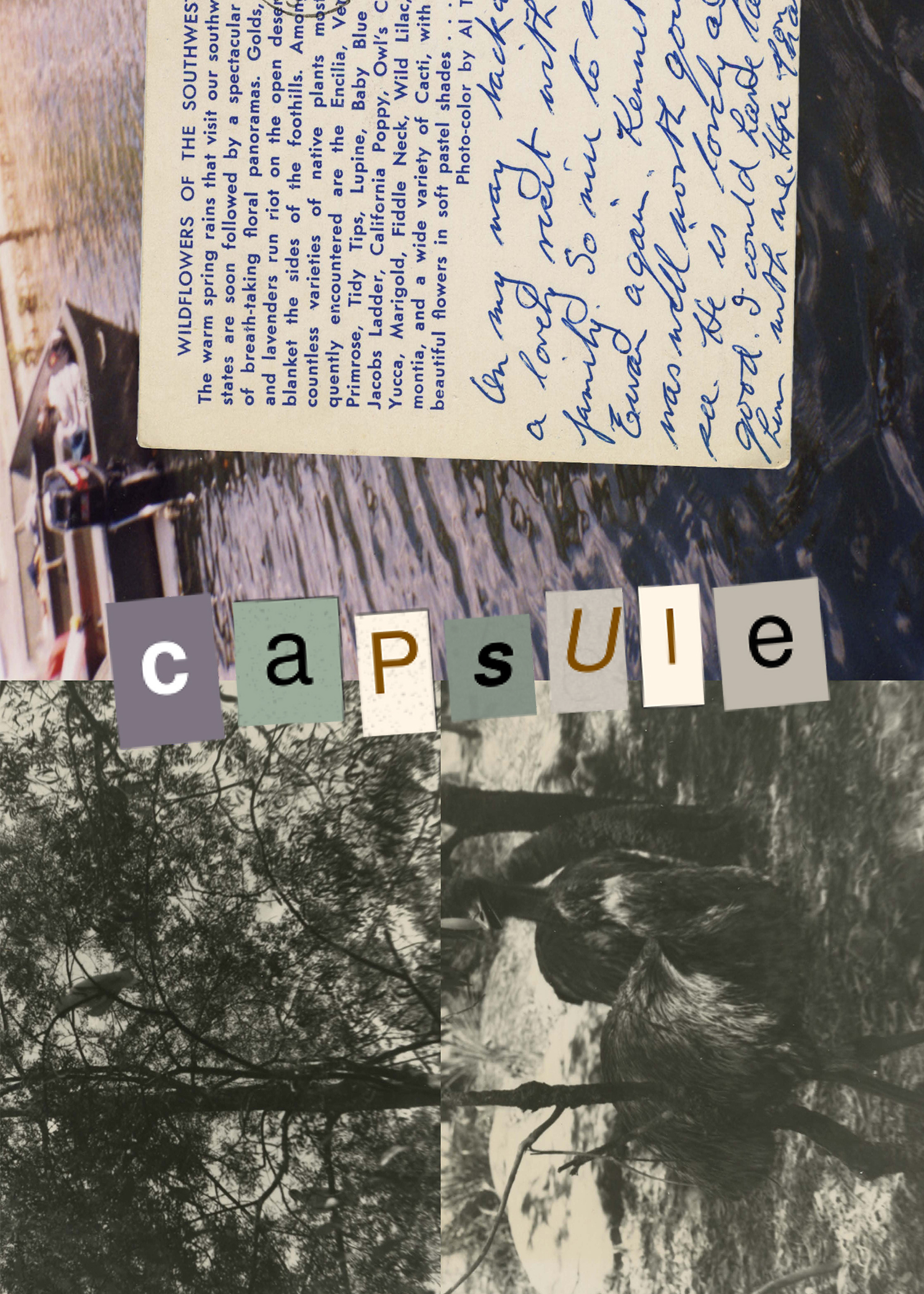 Describe your project