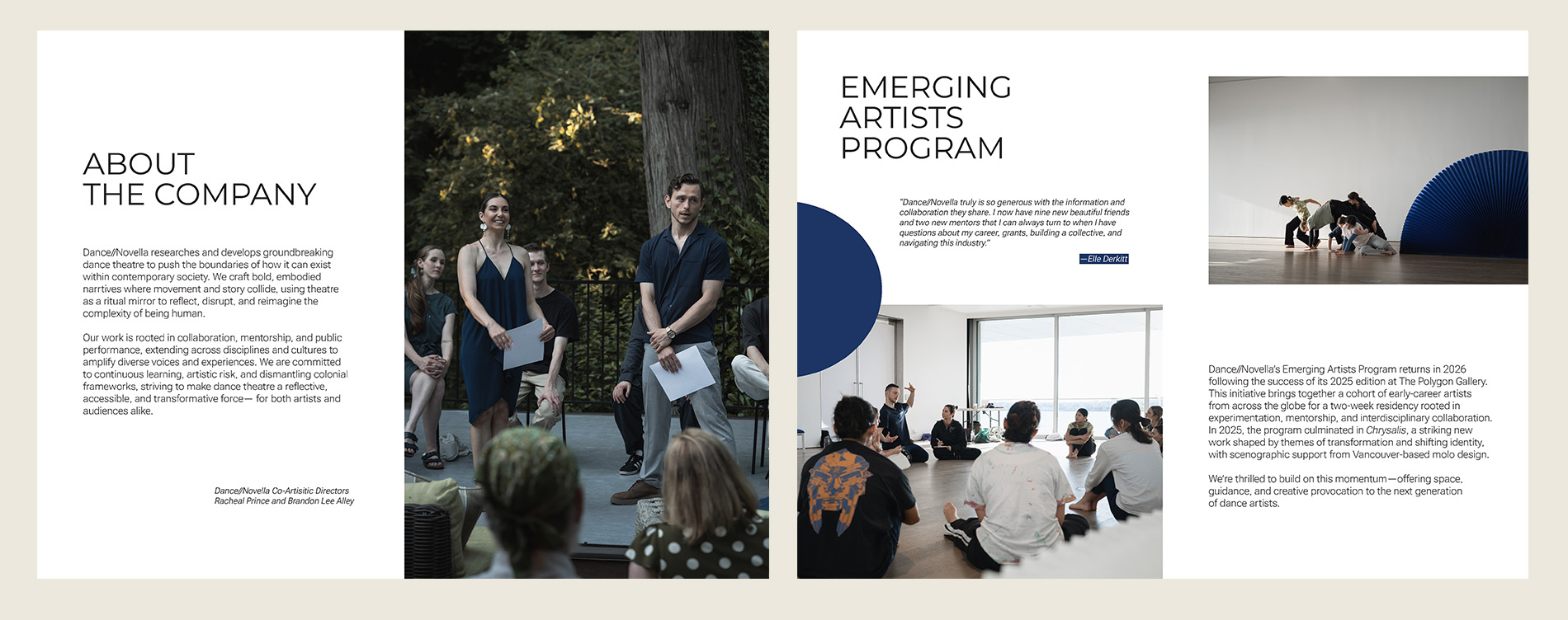 Describe your project