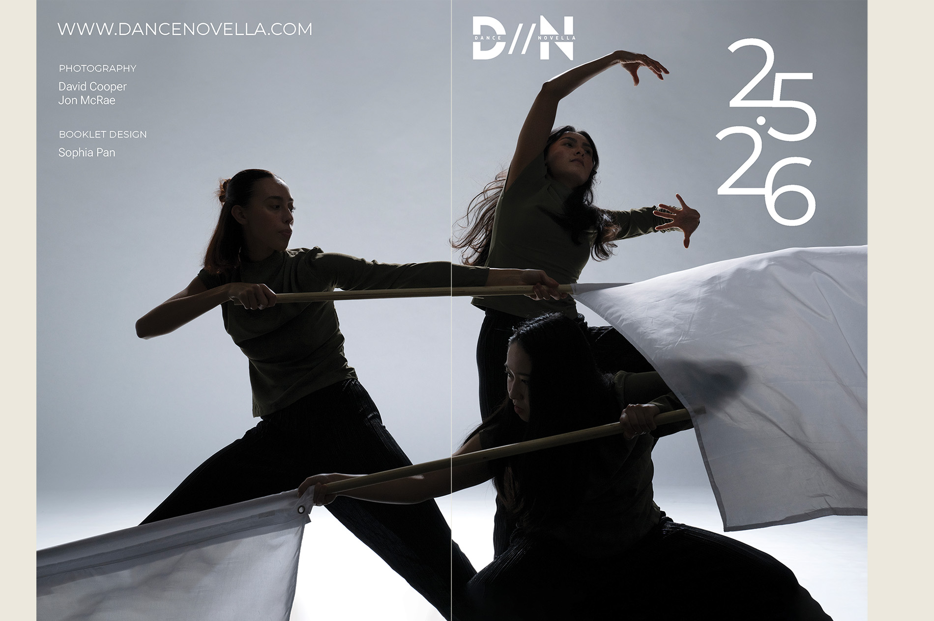 Describe your project