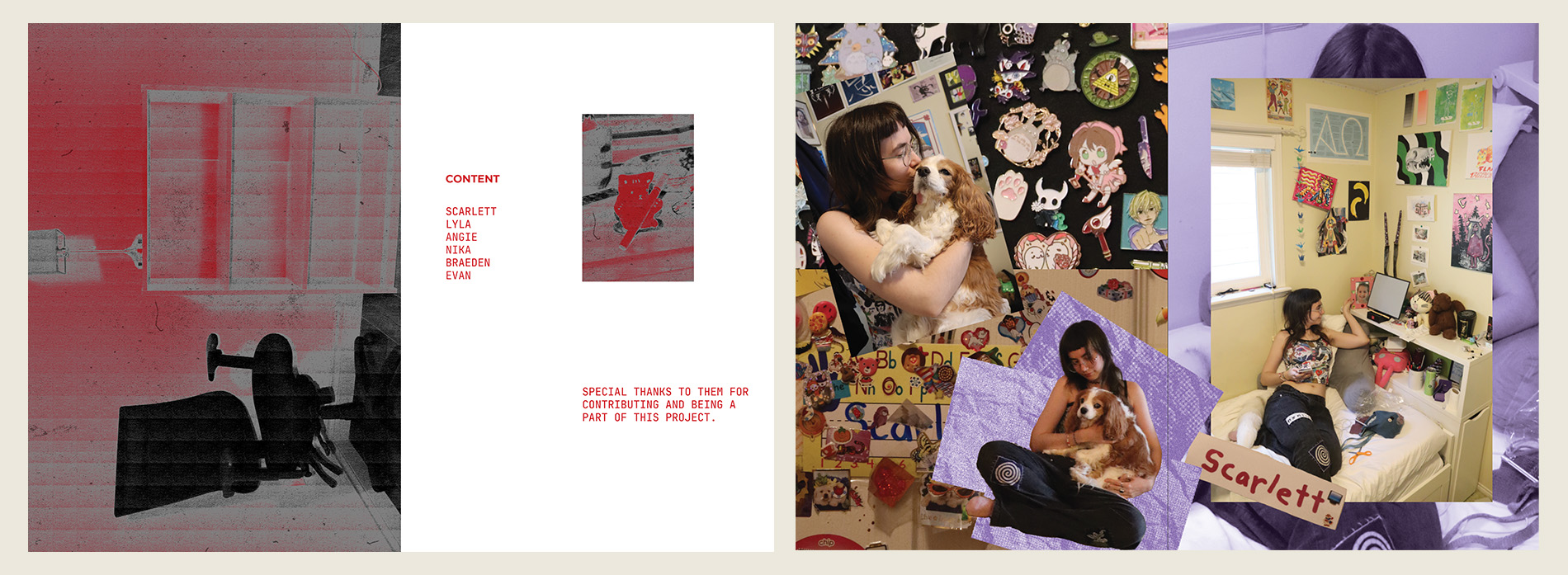 Describe your project