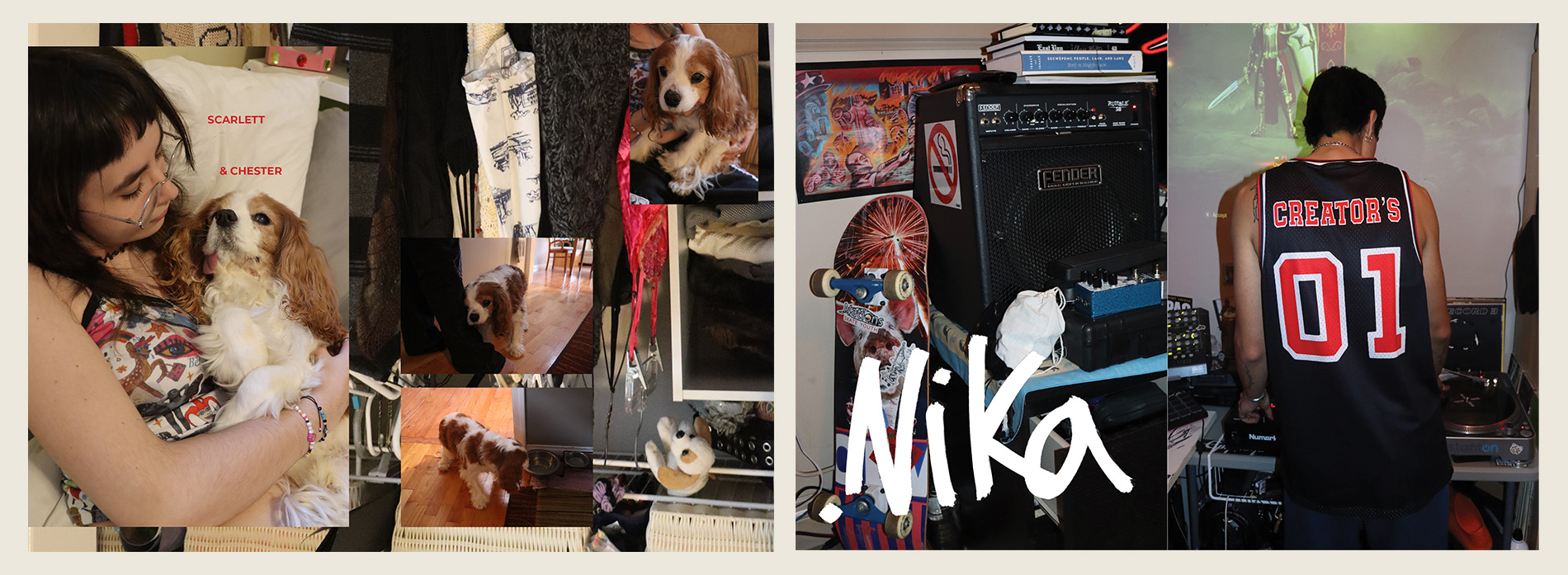 Describe your project