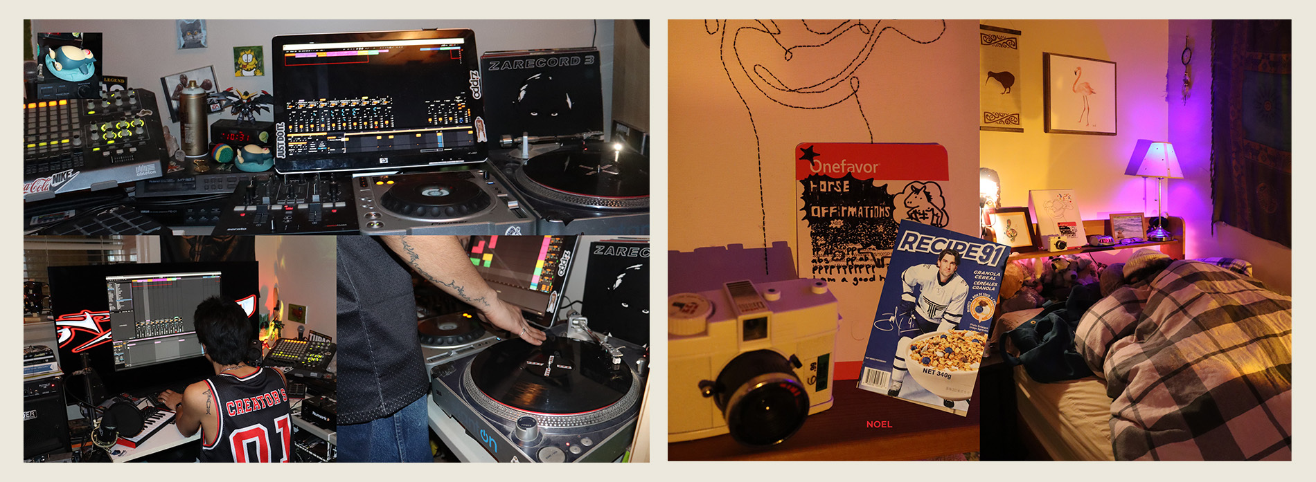 Describe your project