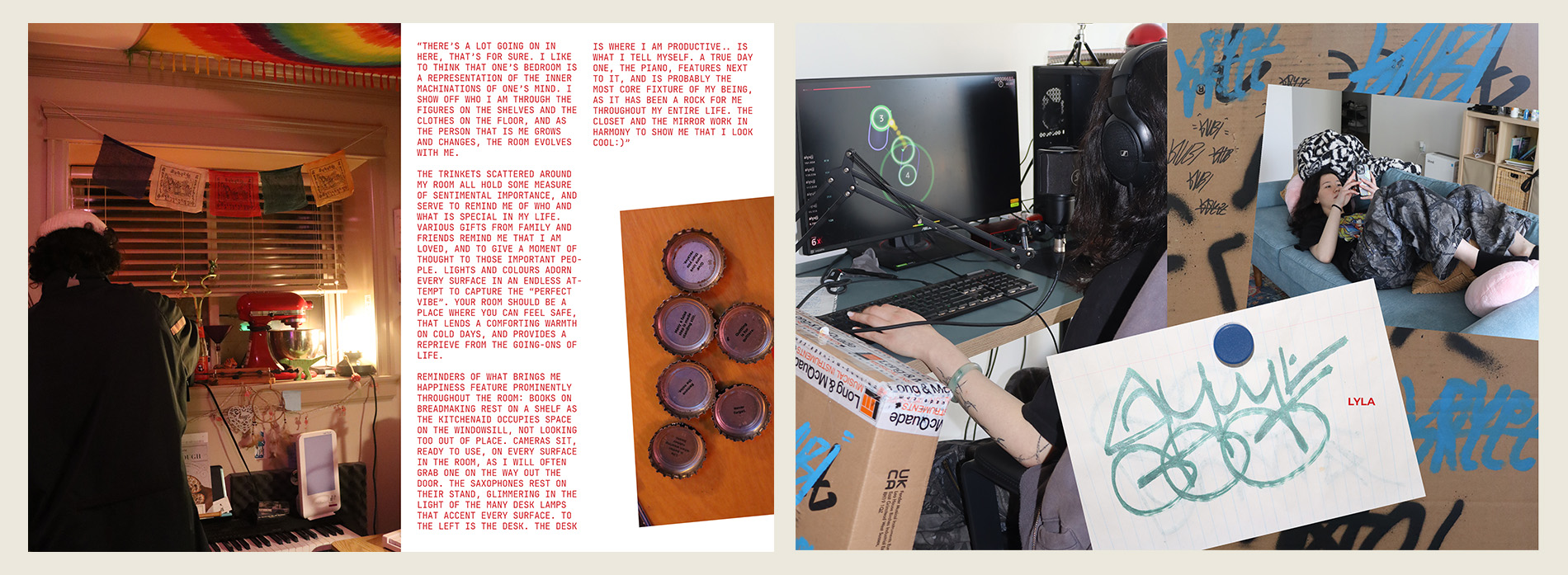 Describe your project