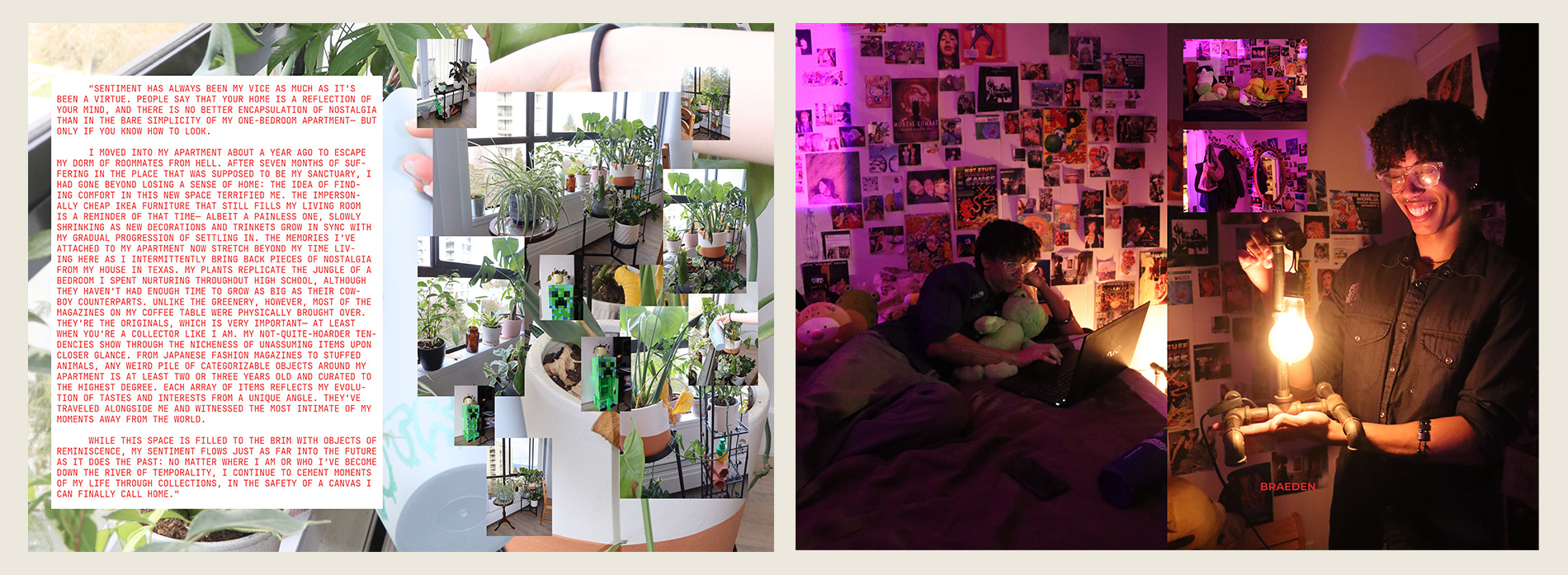 Describe your project