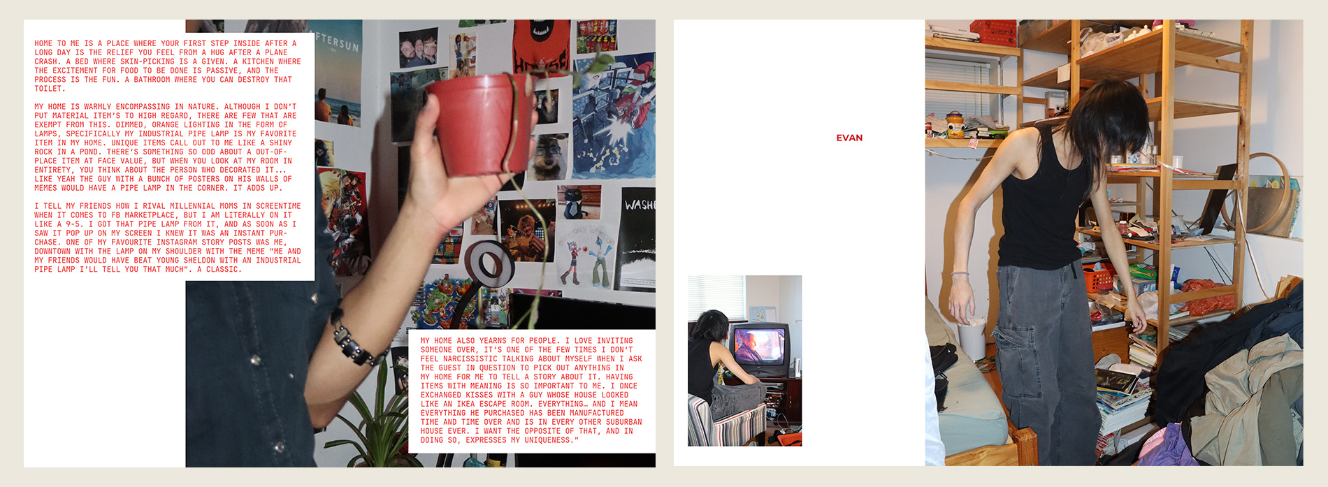 Describe your project