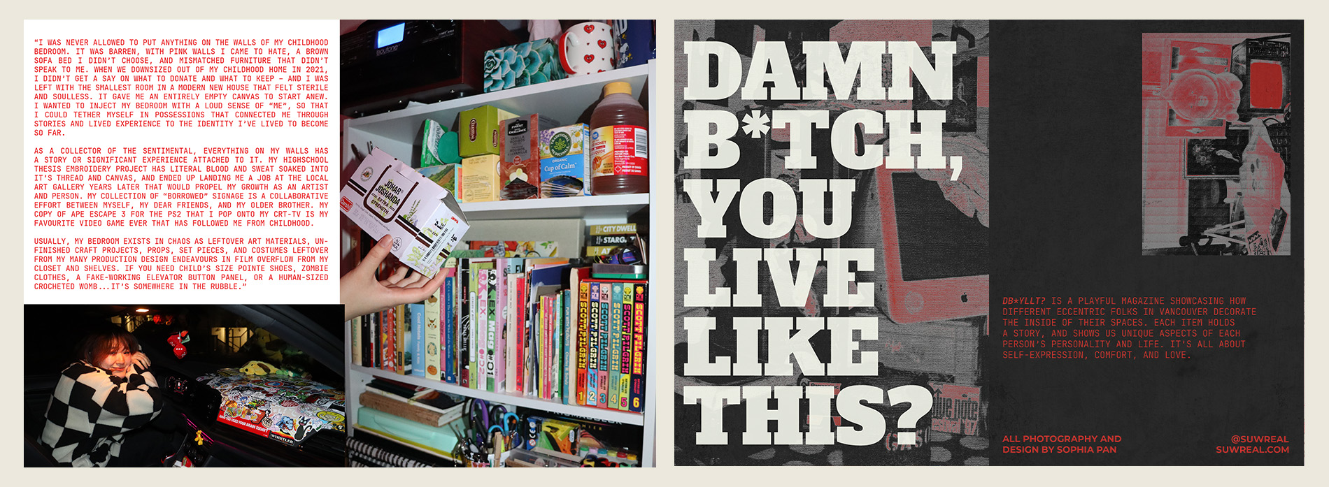 Describe your project