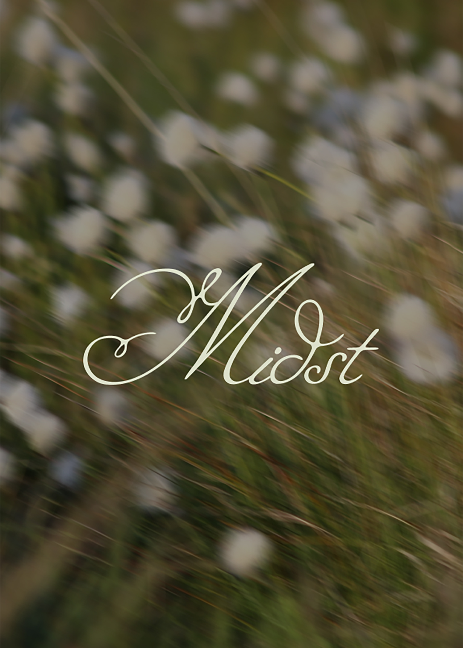 Describe your project